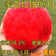 新品種特大早熟桃樹(shù)苗嫁接晚熟冬桃血桃果樹(shù)苗盆栽地栽南北方樹(shù)苗 2年苗【好成活】