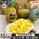 四叔公果蔬進(jìn)口菲律賓SW蜂蜜鳳梨大果2個無眼樹上熟手撕黑金鉆鳳梨新鮮菠蘿 1顆裝 單果約3.2-3.5斤