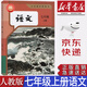 【新華書店正版】2025新版現(xiàn)貨初中部編版人教版7七年級上冊語文課本教科書人教版七7年級上冊語文教材初一上冊語文書人民教育出版社