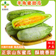 清清春犁 羊角蜜甜瓜 生態(tài)種植正宗山東特產(chǎn)羊角蜜瓜 現(xiàn)摘現(xiàn)發(fā)新鮮水果 3斤