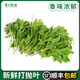 新鮮甲拋葉新鮮蔬菜打拋葉塔拋葉泰式香料食材食用調(diào)味調(diào)料菜 100g