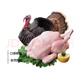 鮮七星散養(yǎng)火雞活體現(xiàn)殺火雞肉新鮮整只感恩火雞圣誕火雞 整只火雞5斤裝