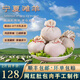 午羊 寧夏灘羊肉 生鮮肚包肉羊肉新鮮羊肚包冷凍真空袋裝火鍋燒烤食材 肚包肉凈重1000g