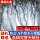 朵芙【中秋禮盒】整條帶魚(yú) 5斤凈重大號帶魚(yú)刀魚(yú)新鮮整箱渤海帶魚(yú)海鮮 【5斤嘗鮮】精品釣帶1-1.2斤/條