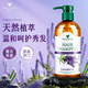 萊清菲日本進口洗發(fā)水控油蓬松止癢無硅油正品去油洗發(fā)露液500ml 萊清菲薰衣草洗發(fā)水480ml