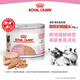 皇家奧地利進(jìn)口濕糧離乳期幼貓全價(jià)慕斯奶糕罐頭195G繁殖1-4月齡 離乳期幼貓全價(jià)奶糕罐頭195G 12罐半箱