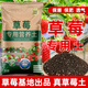 京厽草莓專用營養(yǎng)土瓜果樹通用土壤草莓盆栽種植土陽臺有機土肥料 草莓專用土5斤 果多 色好 口甜