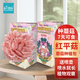 IAM City Farmer紅平菇 蘑菇種植包可食用菌種兒童種植蘑菇包可食用源頭直發(fā)10141