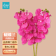 匠心綻放蝴蝶蘭仿真花7頭高品質(zhì)客廳餐桌花卉簡(jiǎn)約裝飾花擺件紫色2支20028