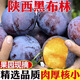 果果汐陜西黑布林大李子水果新鮮黑布朗李子黑寶石酸甜孕婦水果 1斤裝