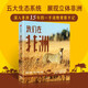我們在非洲 9787521760132