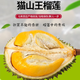 晨木鮮生馬來西亞進口貓山王榴蓮 D197液氮保鮮整個帶殼貓山王榴蓮 精品果2-2.5斤保三房