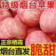 正宗山東煙臺(tái)紅富士蘋果脆新鮮水果冰糖心棲霞條紋蘋果一整箱 煙臺(tái)蘋果 大果【帶箱9.6-10斤】