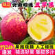 云南昭通丑蘋果冰糖心蘋果新鮮水果當(dāng)季整箱10斤紅露富士蘋果M5 3斤中果