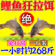 速聚達(dá)釣鯉魚餌料專攻河流湖庫黑坑四季釣鯉魚專用餌料免打窩鯉魚誘食劑 1包【一斤裝】多買優(yōu)惠