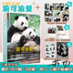 花花世界 熊貓花花 渝可渝愛(ài) 花花 萌蘭 香香 福寶 七仔的書(shū) 【簽名版】渝可渝愛(ài) 海報+日歷*6+貼紙+閃卡