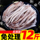 新鮮魷魚(yú)須鮮活冷凍二本足章魚(yú)生鮮尤魚(yú)鐵板魷魚(yú)串腿海鮮商用批發(fā) 500g 3斤裝(去牙去眼）