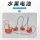  舜江 水果電池材料包實(shí)驗(yàn)套裝diy科學(xué)器材幼兒園鹽水可樂(lè)電池發(fā)電裝置原電池 高純度的銅片鋅片+鱷魚夾款