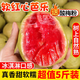 言覺(jué)福建紅心芭樂(lè )5斤 番石榴新鮮水果紅肉巴樂(lè )潘石榴整箱帶箱 1斤【送酸梅粉】