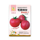 鳳鳴雅世 西紅柿種子水果番茄種籽大棚農(nóng)家四季菜園子農(nóng)科院種子家庭種子 毛粉802傳統(tǒng)老番茄種子100粒