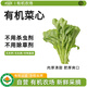 沈佳農(nóng)有機菜心新鮮蔬菜配送認證農(nóng)場時令青菜葉菜有機菜輔食順豐 有機菜心250g*3