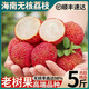 庫(kù)瑞增城仙進(jìn)奉荔枝【JD/順豐空運(yùn)】火山新鮮荔枝水果禮盒端午送禮 無(wú)核荔枝特大果禮盒裝帶箱5斤