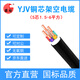 國超電纜 YJV-0.6/1KV-5*6銅芯國標(biāo)戶外防老化5芯新能源汽車充電樁電力電纜1米【現(xiàn)貨】