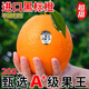 四叔公果蔬（順豐）美國(guó)3107黑標(biāo)橙子臍橙大果進(jìn)口甜新奇士陽(yáng)光橙子時(shí)令水果 美國(guó)進(jìn)口3107黑標(biāo)橙 12個(gè)禮盒裝