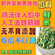 原石門(mén)一路吳苑餅家退休老師傅用初心制作野薺菜筍黑毛豬餡料 草綠色 1斤野薺菜筍黑毛豬餡料