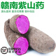 諸氏橙品 山藥 贛南紫山藥 新鮮紫人參腳板大薯 薯蕷科食補(bǔ)蔬菜 2.6斤彩箱裝【單果250-500g】