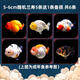 蘭壽金魚(yú)冷水觀賞魚(yú)苗活體波妞金魚(yú)奶牛藍(lán)瘦泰獅好養(yǎng)耐活招財(cái)魚(yú)苗 3-5cm隨機(jī)蘭壽5條送1條備損共6條