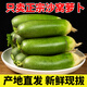 天津正宗沙窩水果蘿卜甜脆水果型新鮮現(xiàn)拔蘿卜生吃蔬菜綠羅卜 3斤