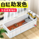瘋狂水草烏龜生態(tài)缸養(yǎng)龜專(zhuān)用缸家用特大號(hào)爬寵飼養(yǎng)箱特大缸飼養(yǎng)盒巴西龜 100CM龜缸（送曬臺(tái)+拉筋）