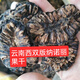 云南西雙版納傣家諾麗果干特級精選養(yǎng)生茶500克