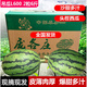 沐瑾北京大興龐各莊頭茬小西瓜L600小吊瓜皮薄肉厚新鮮水果 6斤 2顆(5斤-6斤)  精選果  整箱