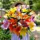 百合花種球香水百合四季開(kāi)花好養(yǎng)活花卉植物室內(nèi)外花苗盆栽花種子 香水百合【隨機(jī) 5顆】+盆+土+肥