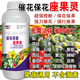 進(jìn)口促花催花精催花座果靈果樹(shù)授粉藥瓜果蔬菜?；ū９缆淙~面肥 進(jìn)口授粉座果精【500克1瓶】