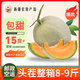 奇果出疆【順豐發(fā)貨】新疆哈密瓜產(chǎn)地直發(fā)整箱新鮮水果8-9斤西州蜜甜瓜 2-3頭共8-9斤【壞果包賠】