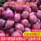 格沃斯（GEWOSI）甘肅酒泉紫皮洋蔥新鮮紅皮圓蔥蔥頭5斤帶箱當(dāng)季農(nóng)家自種蔬菜 整箱商超級(jí)大果9.5斤 酒泉