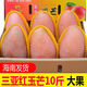 格沃斯（GEWOSI）海南三亞紅玉芒果玉文芒當(dāng)季新鮮愛文芒澳芒大果 9斤禮盒裝含箱