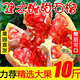 南步云南建水蒙自酸石榴 酸甜半口當季新鮮特產(chǎn)特大石榴整箱孕婦水果 8斤大果【單果約350g】