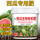 西瓜肥料西瓜專(zhuān)用肥料復合肥生物顆粒緩釋肥有機肥料增甜膨果 西瓜肥料2500克一大桶
