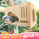 我愛我鸚我愛我鸚鸚鵡虎皮牡丹玄鳳和尚小太陽懸掛木屋小房子鳥窩牡丹實(shí)木 云朵門木窩＋s梯