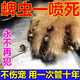 蜱蟲(chóng)專(zhuān)用藥寵物狗狗體外驅蟲(chóng)藥止癢去跳蚤虱子殺蟲(chóng)劑大寵愛(ài)噴霧劑 1瓶【驅蟲(chóng)專(zhuān)用】
