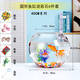 貝拉緣辦公桌玻璃魚缸金魚缸水族箱客廳小型桌面烏龜缸透明圓形家用造景 40圓球缸彩石六件套