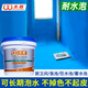 水迪（WATER DICK）衛生間防水涂料k11魚(yú)池泳池飲水池防水膠js可長(cháng)期泡水池補漏涂料 【衛生間專(zhuān)用】20斤藍-約8平方