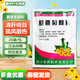 蜀中夏桑菊顆粒10g*20袋清肝明目疏風(fēng)散熱除濕痹解瘡毒風(fēng)熱感冒目赤頭痛頭暈耳鳴咽喉腫痛疥瘡腫毒 1包