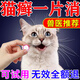 貓咪皮膚病貓?zhí)\口服藥專用劑治貓咪皮膚病掉毛真菌感染貓癬脫毛紅 1瓶裝【60片】