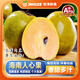 沐瑾海南廣西人心果新鮮水果人參果人生甜心仙人果孕婦熱帶稀罕見(jiàn)水果 1斤丨優(yōu)選-單果120-250g-含箱