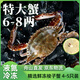 遇上鮮 舟山梭子蟹 海鮮 冷凍白蟹公蟹 凈含量2.6斤（6-8兩/只） 源頭直發(fā)